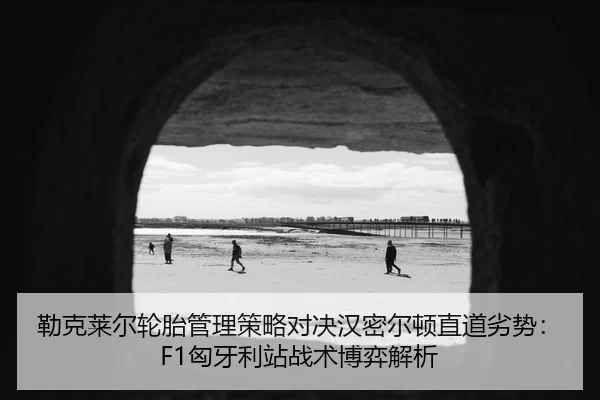 lei-ke-lai-er-lun-tai-guan-li-ce-lve-dui-jue-han-mi-er-dun-zhi-dao-lie-shi-xiong-ya-li-zhan-zhan-shu-bo-yi-jie-xi-2-130.jpg